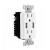 Import 2.4A 2-Port Rapid Charging USB Wall Outlet Conventional Electric Wall Socket  FOR North America from China