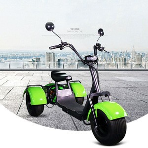 3 Wheel Handicapped Scooter Electric Scooter With Front
