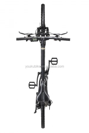 36V 240W mountain ebike Powerful electric Bicycles with CE electric bike