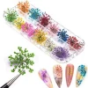 3D Applique Nail Decoration Sticker Decor 12 Colors Dried Flowers for Nail Art