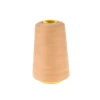 40/2 China 100% Cheap Spun Polyester Sewing Thread