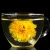 Import 4022W Wuyuan imperial chrysanthemum Soaked 4cm organic dried flower Yellow chrysanthemum from China