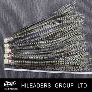 87-100cm Lady Bottom Pheasant Natural Feather