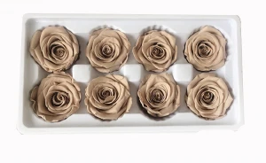 8pcs Preserved Eternal Roses Heads in Box Dry Natural Fresh Flowers
