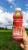 Import A-DEW Brand Guava Juice Drink Nata De Coco 360ml PET Bottles from Vietnam