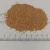Import Abrasives Walnut shell from China