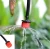 Import Adjustable Garden Micro Drip Irrigation 8 Hole Red Dripper Emitter For 1/4 Inch Hose from China