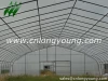 Agricultural Greenhouse of Vegetables