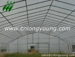Agricultural Greenhouse of Vegetables