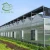 Import Agriculture/Commerical Multi Span Polycarbonate Sheet/PC Sheet Greenhouse Steel Frame for Vegetables/Garden/Tomato from China