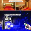 Amazon alexa google home  Wifi Music Activated LED Light Strip 5050 RGB Rope Light With 24keys remote control for Christmas