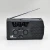Import Amazon hot sale mini home portable speaker fm am solar radio from China