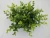 Import Artificial shrub plant filling indoor and outdoor family artificial money leaf from China
