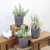Import Artificial Succulent Plant Arrangement In Cement Pot Home Office Decor from China