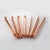 Import AUS standard earth rod/unthreaded copper bonded ground rod from China