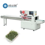 Automatic flow type fresh dragon tangerines oranges dry vegetable and fruits salad sealing wrapping packing machine