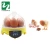 Import Automatic mini 7 chicken quail egg incubator for sale from China