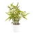 Import Bamboo Lemon Olives Clementine Artificial Decorative Plant Tree With Filled Plant Pots from China