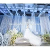 Beautiful Decorative String Curtain For wedding ceiling decoration