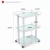 Import beautysalon white medical hospital trolley from China