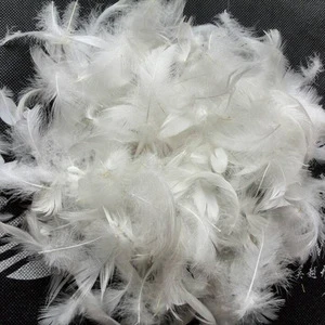 Best price for washed white/grey duck feather wholesale