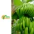 Import Best Prices High Quality Thailand Fresh Cavendish Banana from Thailand