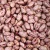 Import Best Quality Red/White/Black/Light Speckled Kidney Beans - Bulk Wholesale Kidney Beans from USA