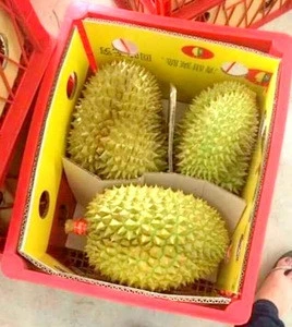 Best Quantity Fresh Durians