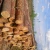 Import big diameter pine logs from Lithuania