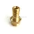 Import Brass Pex Xfpt Wallplate Elbow from China