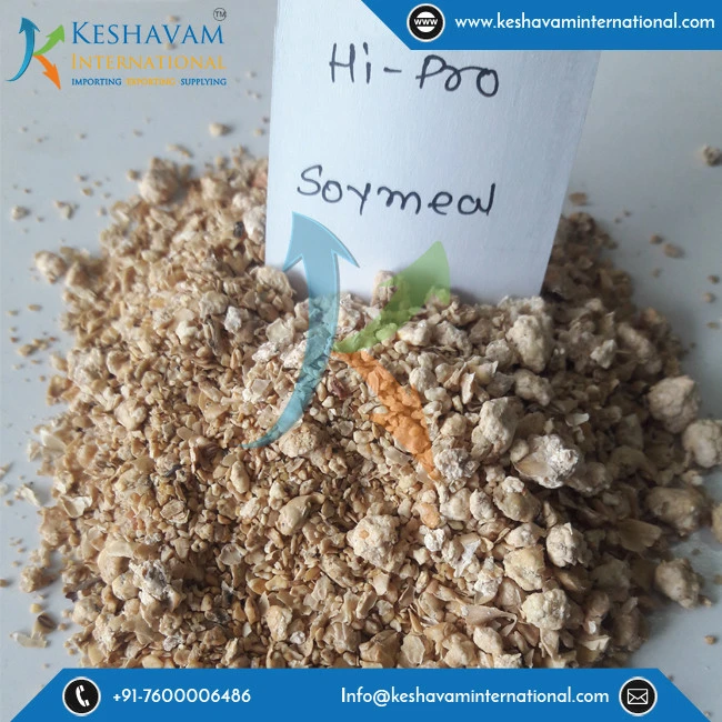Bulk Buy Soybean Meal for Poultry and Animal Feed at Low Price