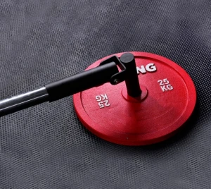 Bunnyhi GL024 Barbell Gym Fitness Equipments Accessories