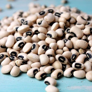 Canadian farm grown 100% organic peas, beans, black eye beans/ White Cowpea Beans Price