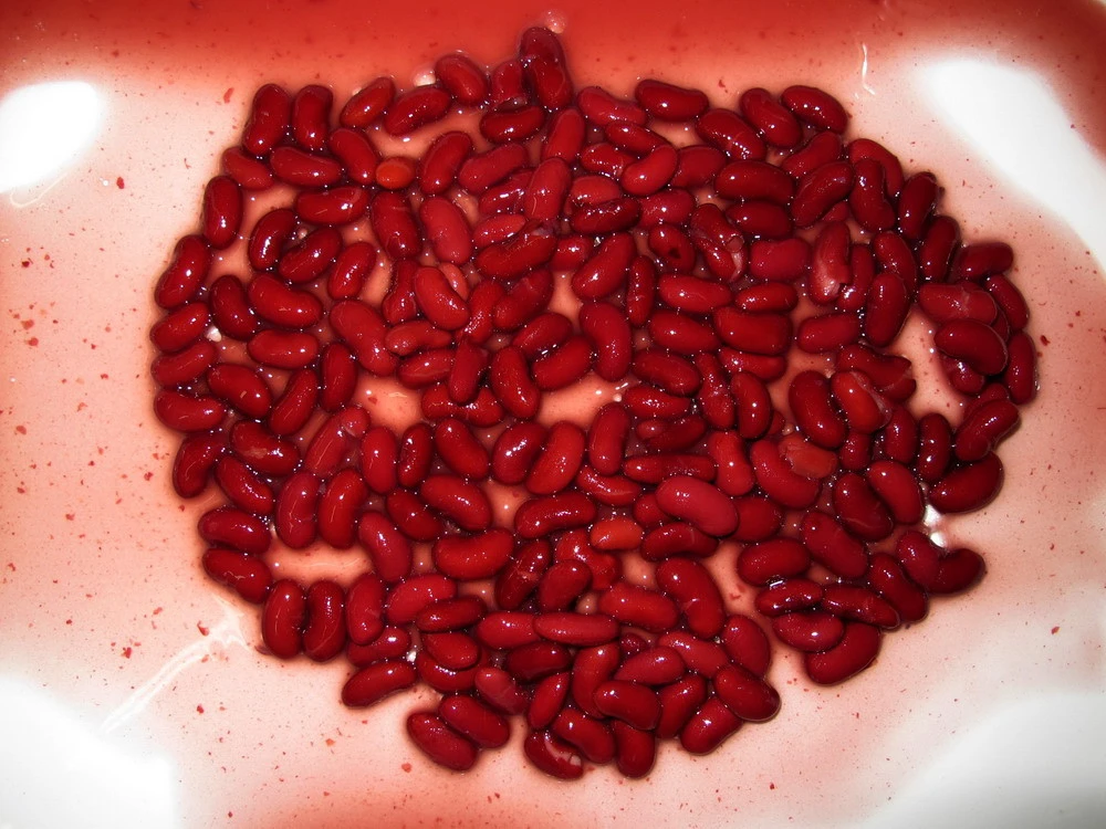 canned red beans, export red kidney beans china