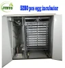 CE Approved automatic egg incubator for 5000 eggs chicken eggs hatcher incubator