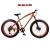 Import cheap 24/27 speed 24/26inch adult fat tire snow beach cruiser bicycle mountain bike from China