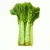 Import Cheap brands of canned vegetables canned lettuce from China