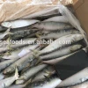 cheap seafoods and frozen food sardine for canning
