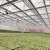 Import China Cheap Intelligent Glass Greenhouse Flower Greenhouse from China