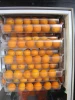 China factory remote monitoring orange juicer vending machine