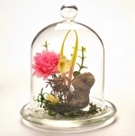 China Factory Scape Decorative glass building glass dome