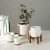 Import China Wholesale Cylinder White Planter Flower+Pot+ Mini Succulent Flower Pot Stand Wood Garden Indoor Small Ceramic Plant Pot from China