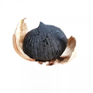 Chinese fermented black garlic extract price