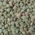 Import Chinese green lentil from China