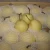 Import Chinese Ya/Early Su/Shandong/Crown Pear from China