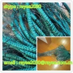 Colorful covered by PP/PE braied fishing rope