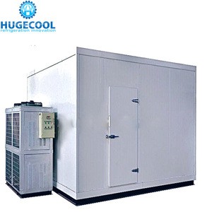 Commercial deep freezer cold room for meat storage
