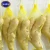 Import Competitive price fresh fat ginger with super quality from China