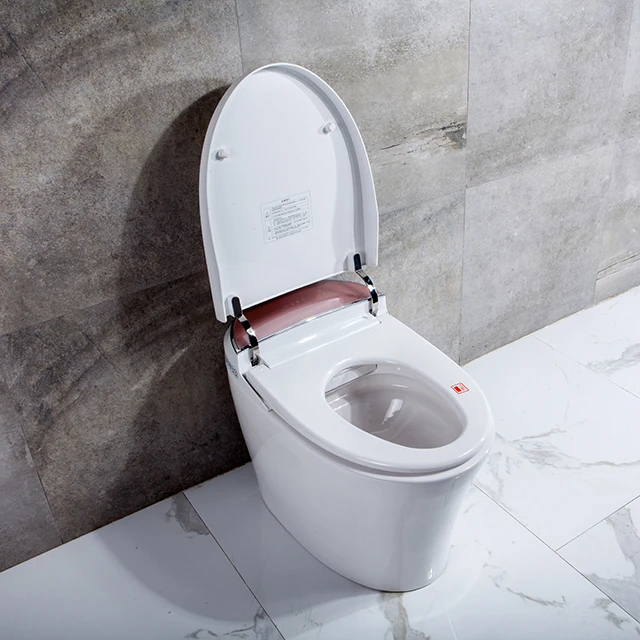 Complete Electronic Toilet with Integrated Bidet Seat Smart toilet with Automatic flush function
