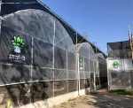 Complete prefabricated  agricultural greenhouse with plastic film for sale